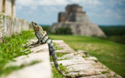 Climb Pyramids in the Yucatan